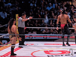 Lucha Libre Love GIF