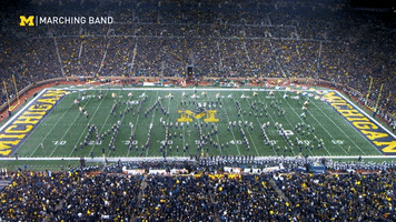 Day Of The Dead Mexico GIF by Michigan Marching and Athletic Bands