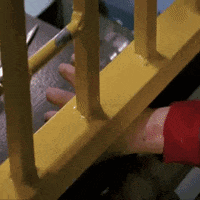 childs play chucky GIF by absurdnoise