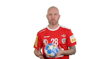 Handball Austria Sticker