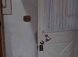 Fur GIF