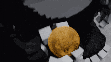 Serious Money GIF by Endangered Labs