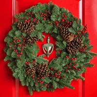 Christmas Holiday GIF by Central Market
