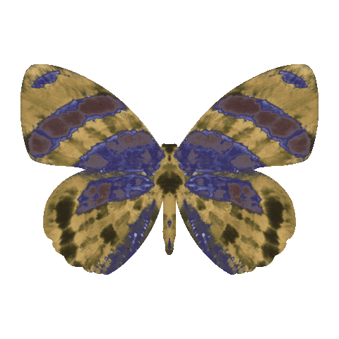 ZOEVA Cosmetics Sticker