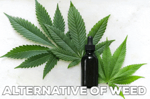 Weed Alternatives GIF