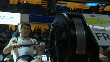 Paris Competition GIF by worldrowing