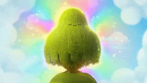 Image result for wishing tree gif