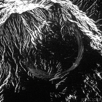 Magnify Black And White GIF by Pi-Slices