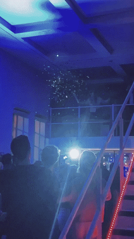 Tailify GIF