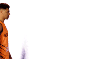 Basketball Nederland Sticker