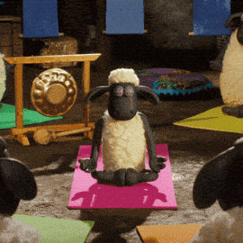 Shaun The Sheep Yoga GIF by Aardman Animations - Find & Share on GIPHY