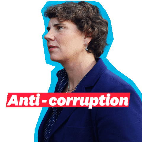 Anti-Corruption Pilot Sticker by Amy McGrath