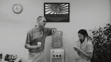 meowwolf office bored meow wolf experience tube GIF