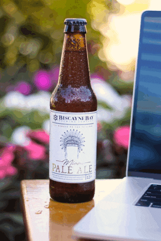 Happy Hour Beer GIF by Biscayne Bay Brewing