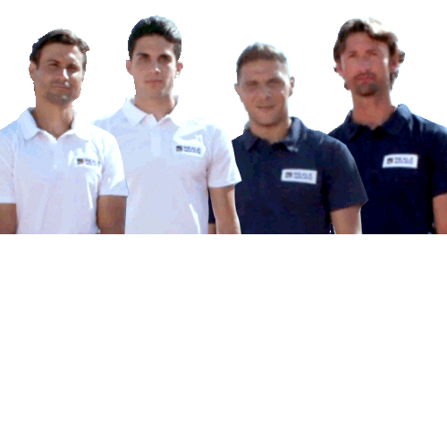 REALE SEGUROS Sticker