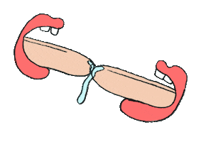 VOOS Sticker