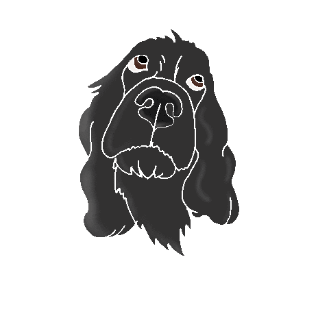 Animated Sticker