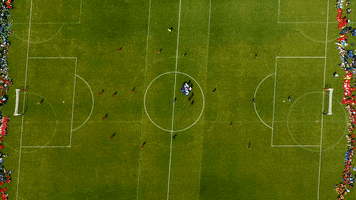 Altınordu FK GIF