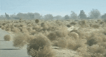 Giphy - desert GIF