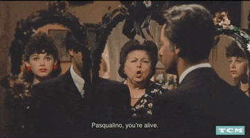 Surviving Foreign Film GIF by Turner Classic Movies