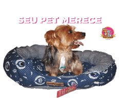 Alegria dos Bichos Sticker