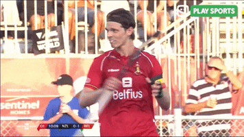 Red Lions Sport GIF by Play Sports
