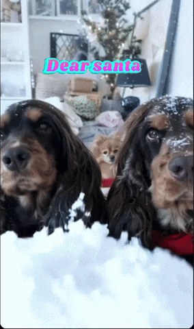 Dear Santa GIF