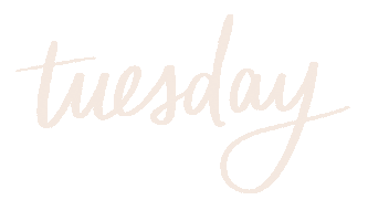 Taco Tuesday Sticker by Lizzie Jacklyn