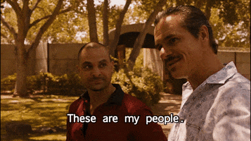 Bcs S5 GIF by Better Call Saul