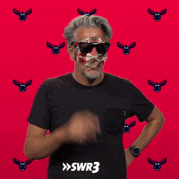 Sunglasses No GIF by SWR3