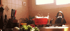 Steam Cooking GIF by mililand