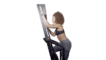 Climb Versaclimber Sticker by RiseNation