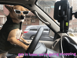 Get In Loser Were Going Shopping GIF by Tiffany