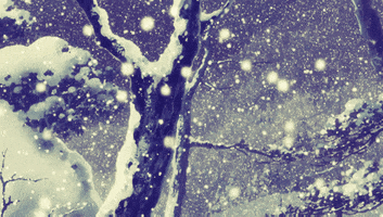 Illustrated gif. Snow falls beautifully on trees and on the ground.