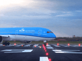 Flying Royal Dutch Airlines GIF by KLM