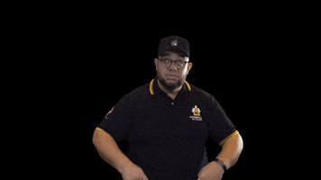 Fórmula do Samba GIF