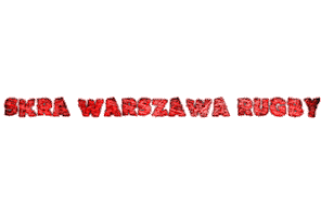 Sport Rugby Sticker by skrawarszawa