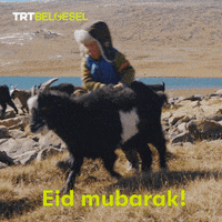 Happy Eid Mubarak GIF by TRT