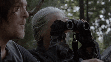 Spying Daryl Dixon GIF by The Walking Dead