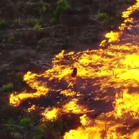 brazil wildfire rainforest amazon rainforest brazil fire GIF