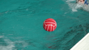 Waterpologirls GIFs - Get the best GIF on GIPHY