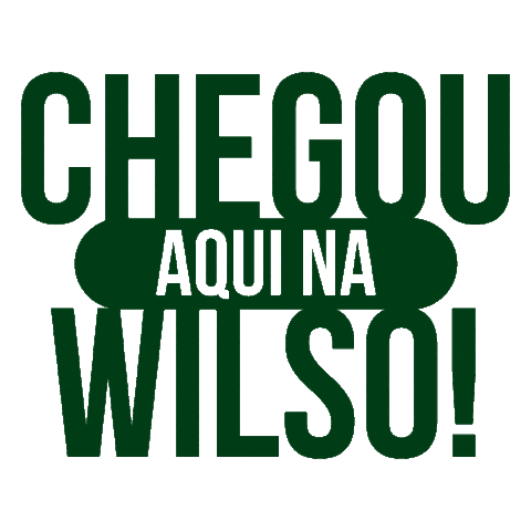 Wilsodistribuidor Sticker by Wilso Atacado