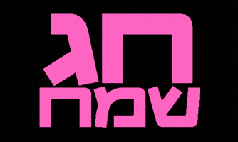 Chag Sameach Sukkot GIF by srulymeyer