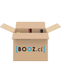 Cerveza Vino Sticker by BOOZcl