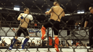 Kung Fu Fighting GIF by New Line Cagefighting