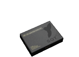 SQT UK Sticker