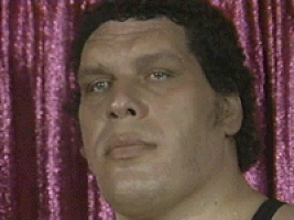 Andre The Giant GIF by Giphy QA