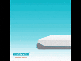 Bed Mattress GIF by Amazeam