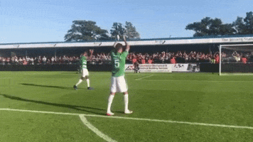 Fans Jimmy GIF by Yeovil Town FC