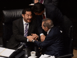 Politica GIF